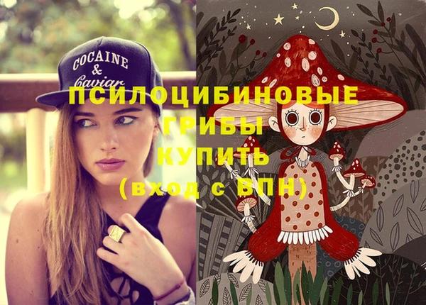 ECSTASY Алзамай