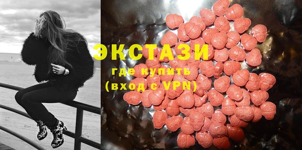 ECSTASY Алзамай