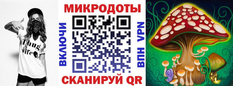 Галлюциногенные грибы Psilocybe  Кашин 