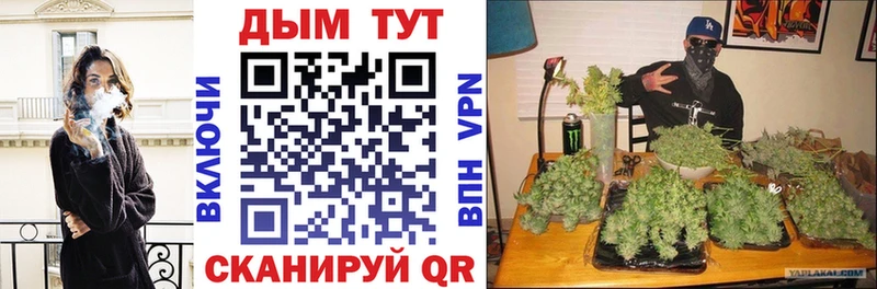Марихуана гибрид  Кашин 